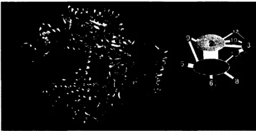 Figure 1-1 Structure cristalline de l'ARN polymérase II 