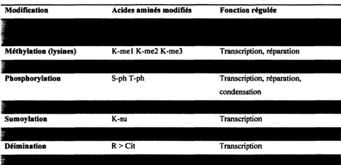 Table  1-1  Modifications  post-traductionnelles  possibles  des  histones  ainsi  que  leurs  fonctions régulées 