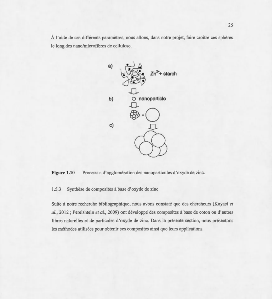 Figure 1.10  Processus d'agglomération des  nanoparticules d'oxyde de zinc. 