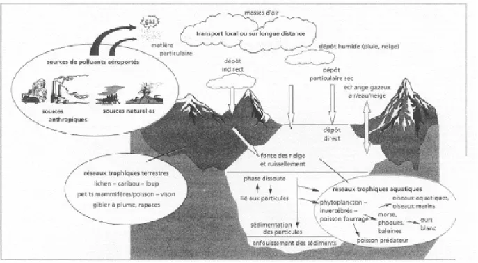 Figure 2.1  Mécanismes de transport des pesticides (tiré de : ENVI, 2000)  Eau 