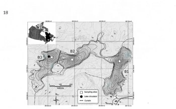 Figure 1.1  Bathymetrie map of L. Croche (Station de Biologie des Laurentides; Carignan,  2010), the white squares  represent the sampling sites, the  black circle is  the lake circulator  and the  black li ne shows the location of the CUitain  between B2 