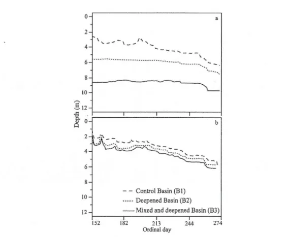 Figure 1.3  Thermocline depths (rn) from June  1st to  September 28th for the control  (B 1,  dashed line), the deepened (B2, dotted line) and the mixed and deepened (B3, solid line)  basins for the experimental (a) and the control (b)  years 