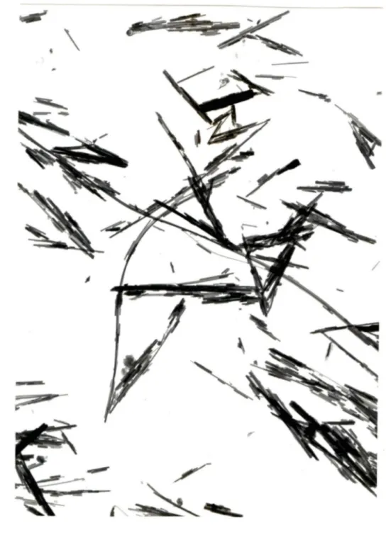 Figure  1.  Chrysotile  UICC  dont  92% des  fibres  ont  une  longueur  inférieure  à  20  micromètres  (Xll628) 
