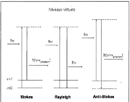 FIGURE 2.3 - Trois types de diffusion possibles entre un photon et un nuage électronique :  la diffusion Rayleigh, Stokes et Anti-Stokes 