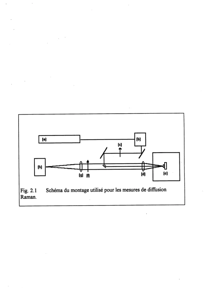 Fig. 2.1 Schema du montage utilise pour les mesures de diffusion