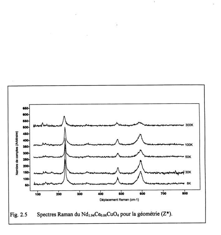 Fig. 2.5 Spectres Raman du Ndi.94Ceo.o6Cu04 pour la geometric (Z*).