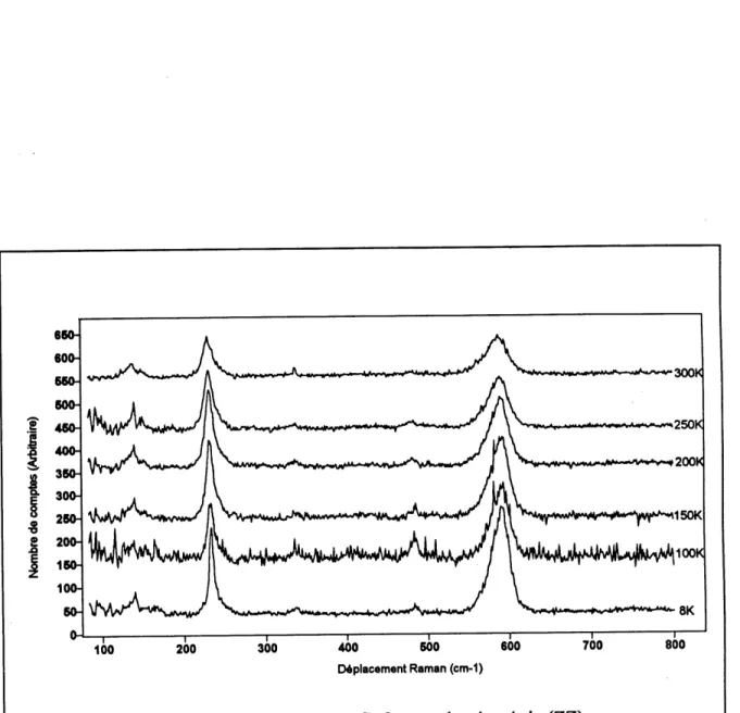 Fig. 2.8 Spectres Raman du Ndi.835Ceo.i65Cu04 pour la geometric (ZZ).