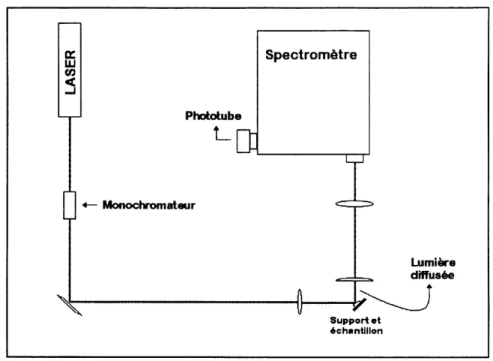 Figure 1.6 Dispositif d'acquisition des spectres de luminescence et Raman.