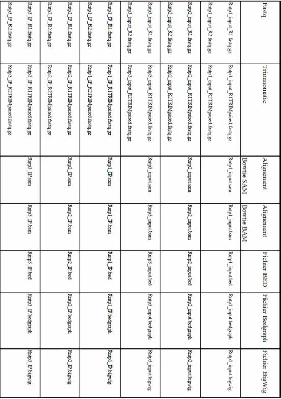 Tableau 1 : Listes des fichiers obtenus après séquençage des échantillons produits en  laboratoire pour les essais de Rnt1p-ChIP-seq