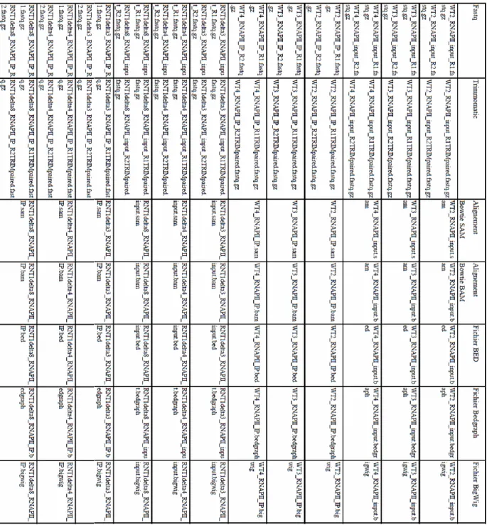 Tableau 2 : Listes des fichiers obtenus après séquençage des échantillons produits en  laboratoire pour les essais de RNAPII-ChIP-seq