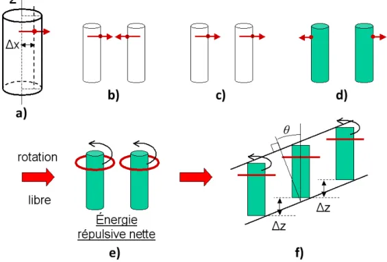 Figure 11. Modèle de la phase SmC de Govind. (a) Le dipôle hors axe, (b-d) trois cas extrêmes  d’interaction entre molécule voisines, (e) l’énergie répulsive nette associée à la libre rotation et  (f) les molécules se décalent selon  z  pour diminuer l’éne