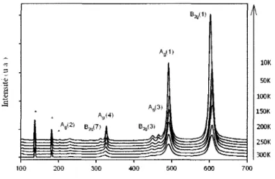 FIGURE A. 14 - Evolution des spectres Raman de PrMn0 3  en fonction de la temperature  de T = 300K a T = 10K par sauts de 50A&#34;