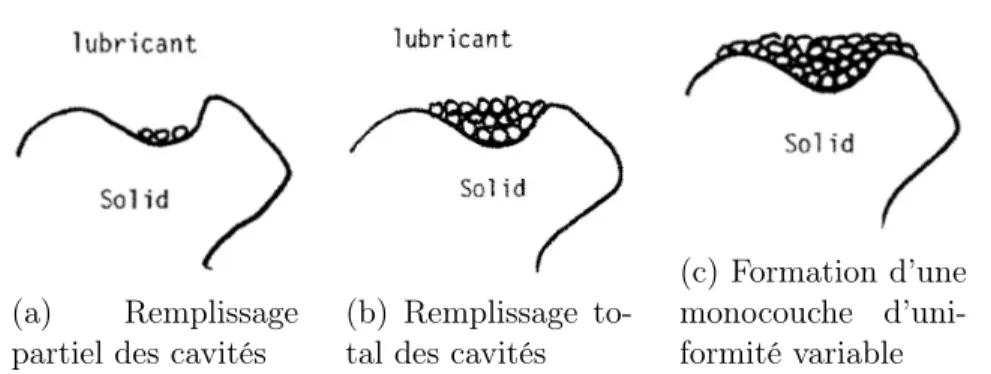 Figure 2.6 Mécanisme de lubrification du MgSt [Roblot-Treupel et Puisieux, 1986]