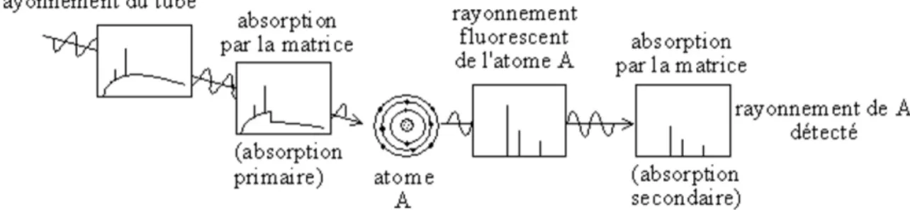 Figure 2.14 Modification du spectre fluorescent en raison de l’absorption par la matrice [Kurt et Heinrich, 1981]