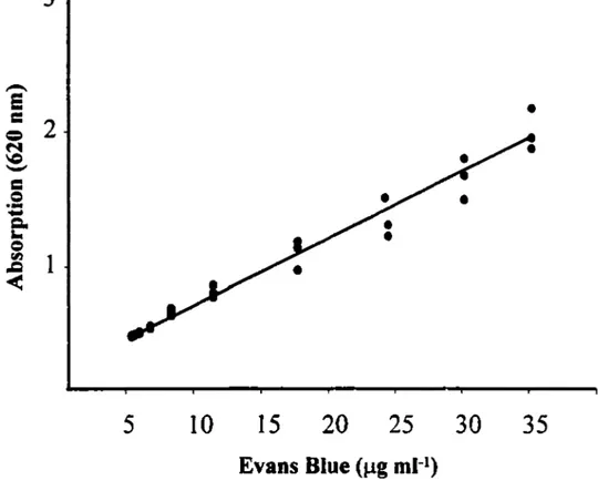 Figure 4:  Standard curve of Evans Blue dye.  The equation  of the  curve  is  Y=0.053X  +  0.25  in  which  Y  represents  the  absorption  at  620nm  and  X  represents  the  different  concentrations of Evans blue dye