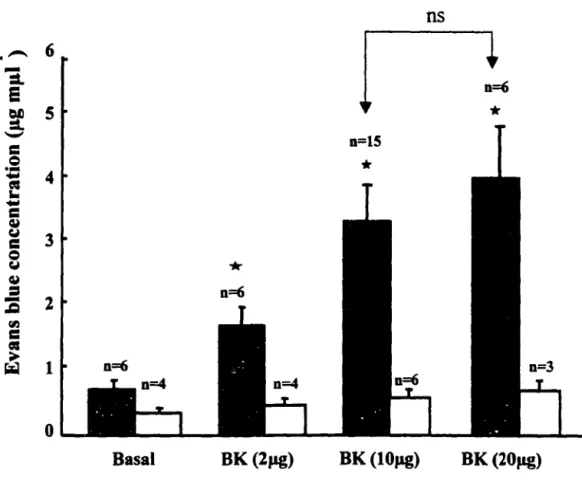 Figure  6:  BK-induced  plasma  extravasation  in  wild-type  and  Bi 