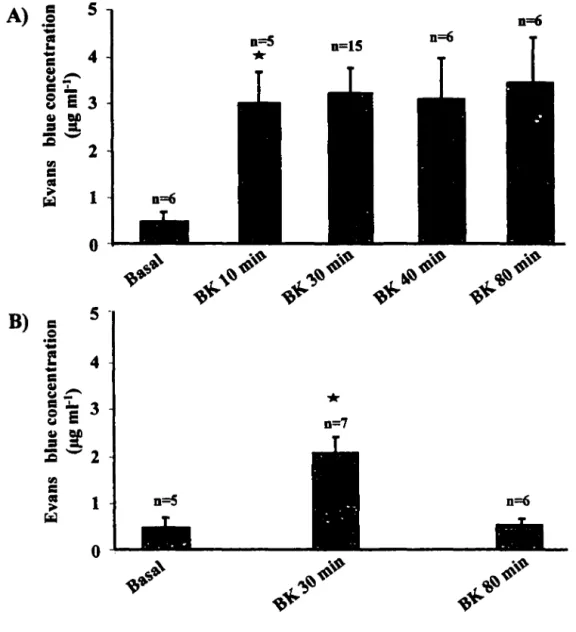 Figure 7: Time coune of plasma extravasation induced  by  BK in wild- wild-type mice. A) Evans blue was administered concurrently with the injection  of BK
