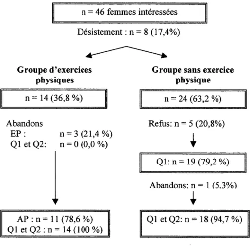 Figure 1. Distribution de la participation 