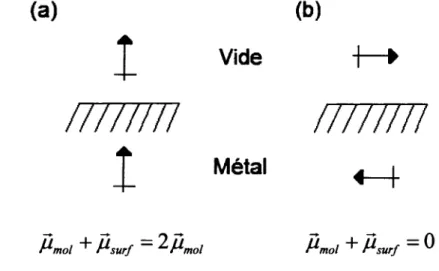 Figure 3 : Champ electrique produit par la vibration d'un dipdle et de son image  (a) perpendiculaire a la surface (b) parallele a la surface 