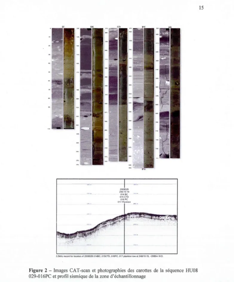 Figure  2  - Images  CA T -scan  et  photographies  des  carottes  de  la  séquence  HU08  029-016PC et profil sismique de la zone d'échantillonnage 