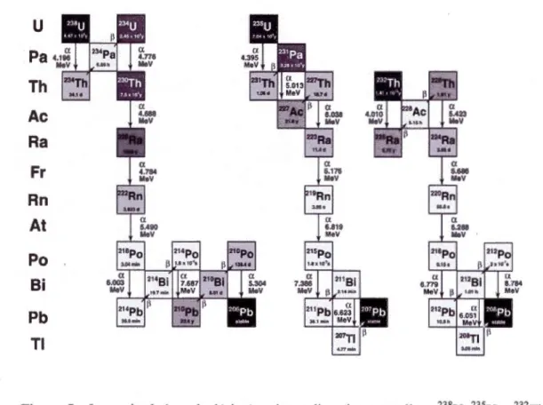 Figure  5- Les trois chaînes de  désintégration radioactive naturelles  :  238 U,  235 U et  232 Th  (Bourdon et al.,  2003)