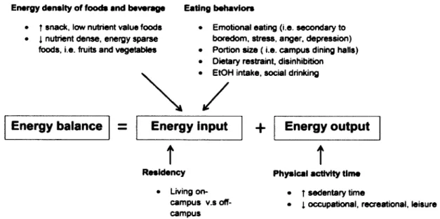 Figure 5  :  Facteurs influençant les changements  de poids en  fonction de  l ’équation  de  la balance énergétique chez les étudiants universitaires selon Levitsky  et al.