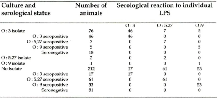 Table 3 :  Type specific sero/ogical reactions Io  Y.  enterocolitica LPS  antigens in slaughter pigs 