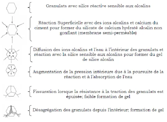 Figure 2-9 : Représentation schématique d’un mécanisme possible entrainant des dégâts lors de la réaction alcali-silice  (Sprung et Sylla, 1998) 