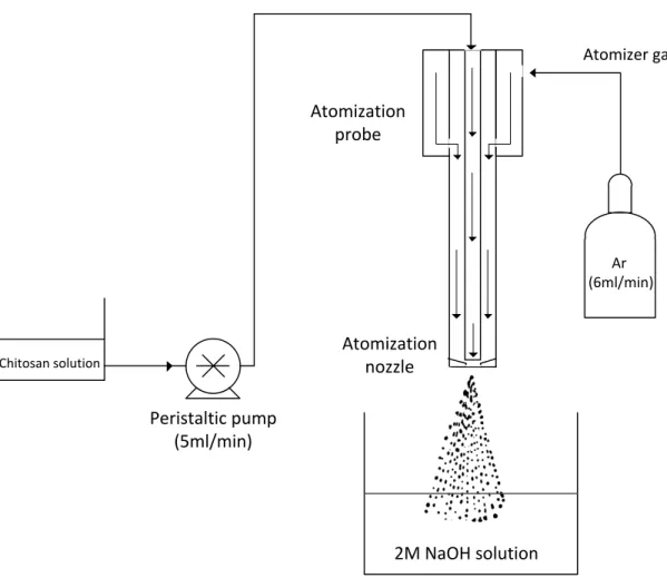 Figure 3.1 Schematic of the spraying and gelation process 