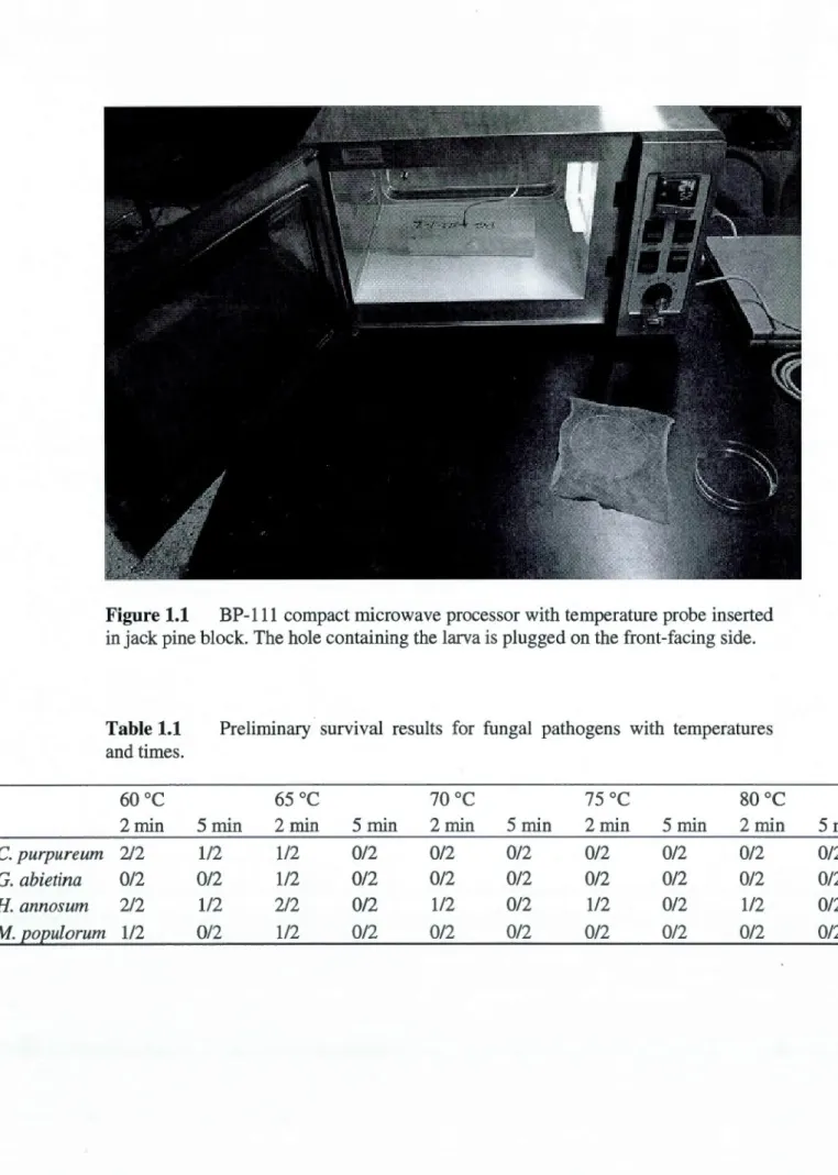 Figure 1.1  BP-111  compact microwave processor with temperature probe inserted  in jack pine black