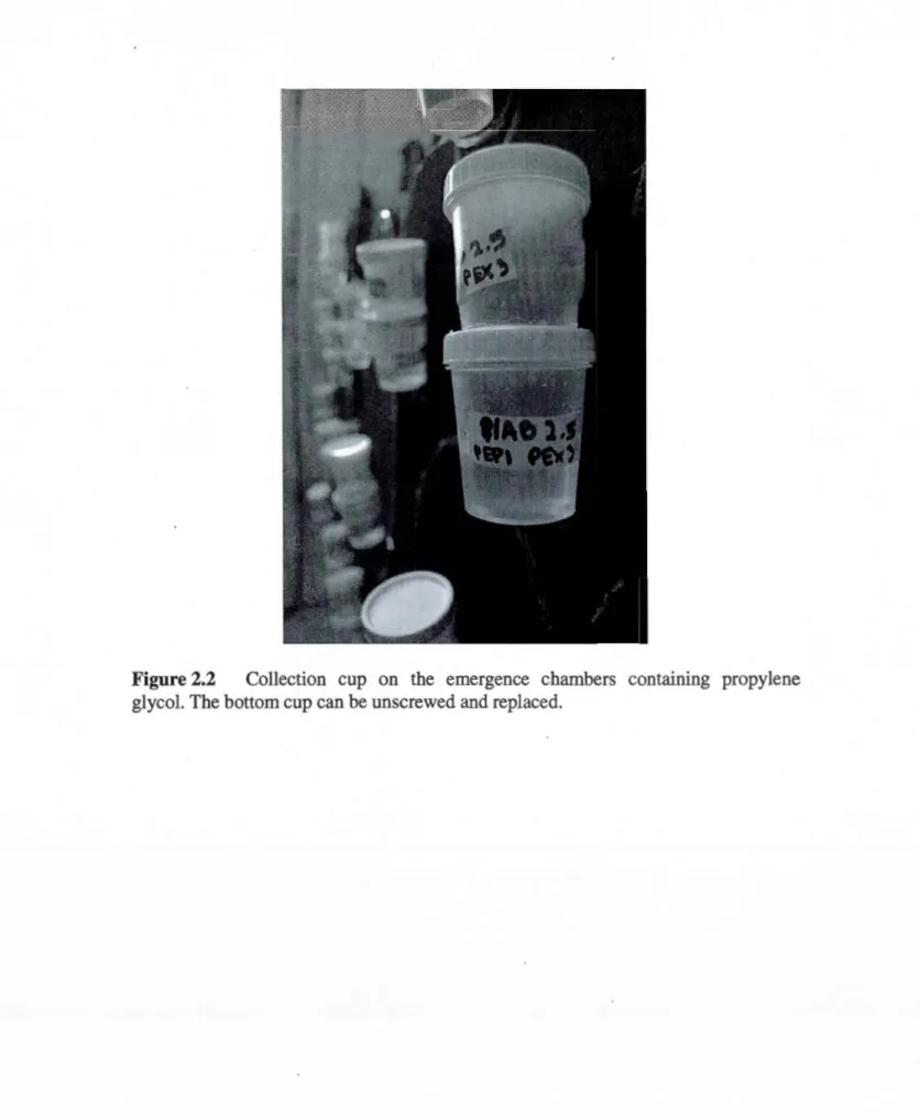 Figure  2.2  Collection  eup  on  the  emergence  chambers  containing  propylene  glycol