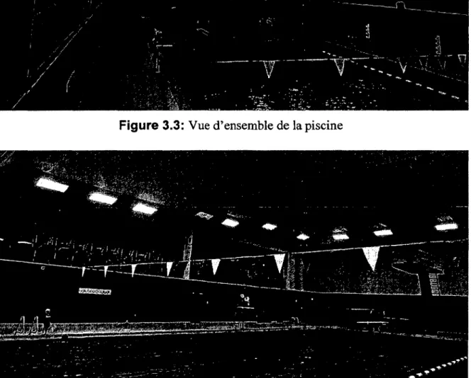Figure 3.4  : Vue d ’ensemble de la piscine 3.1.2  Composition de l’enveloppe du  bâtim ent