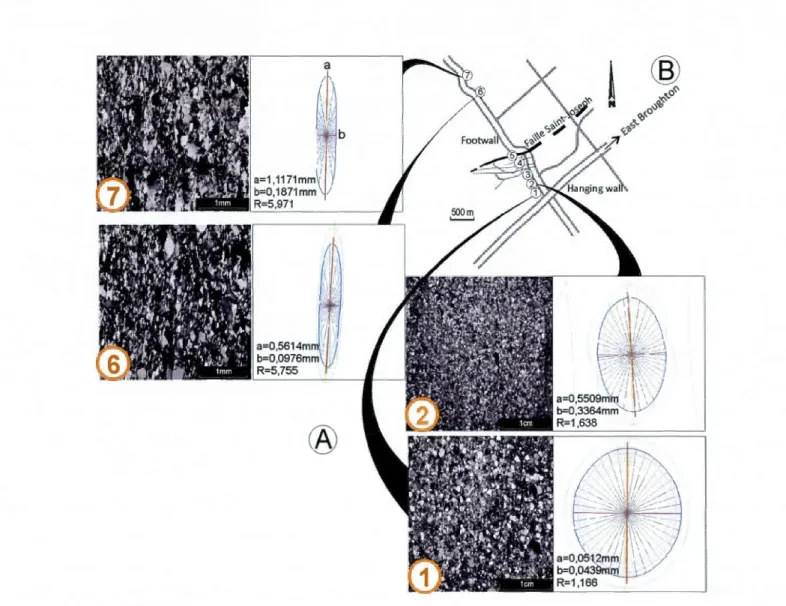Figure 2.9  A.  Analyse de  l'anisotropie de  fabrique  des  échantillons  provenant du  toit  et  du  mur  de  la  faille  St-Joseph par la méthode  des  intercepts