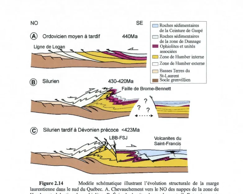 Figure 2.14  Modèle  schématique  illustrant  l'évolution  structurale  de  la  marge  laurentienne dans le sud  du Québec