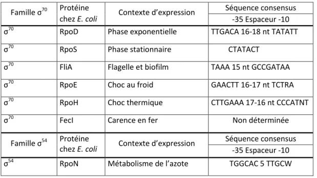 Tableau 1.  Tableau  récapitulatif  des  différents  facteurs  sigma,  de  leur  contexte d’expression et leurs séquences reconnues