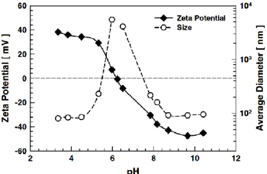 Figure 2.16 Potentiel zêta et diamètre moyen d'amas de nanoparticules de TiO2 en  fonction du pH d'une solution [J