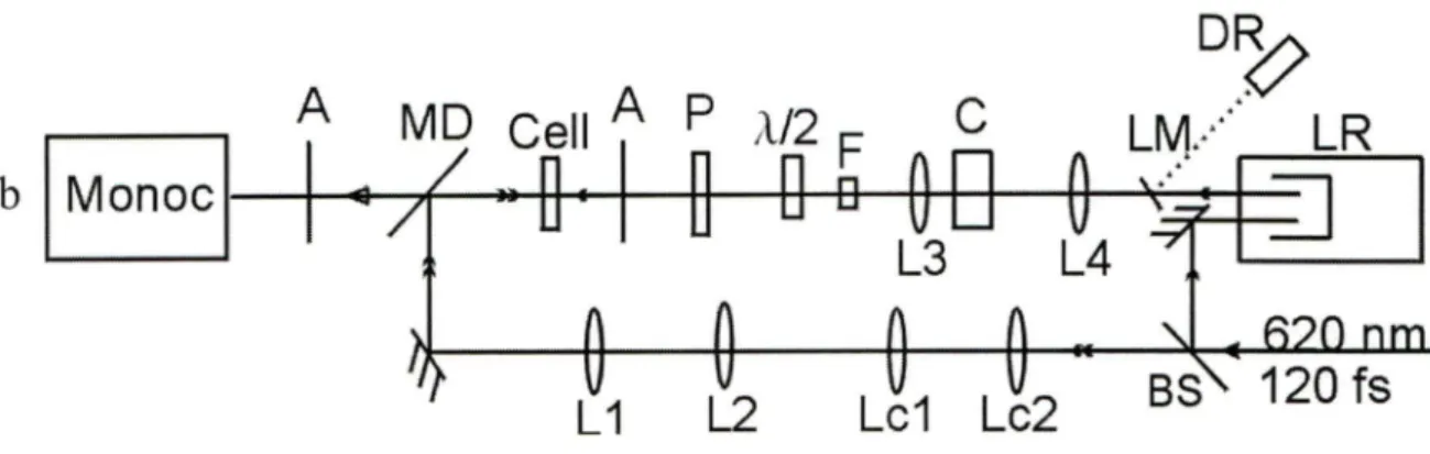 Fig  2.4  Montages  expérimentaux  pour  l'étude  cinétique  du  gain,  a.  configuration  contre  sens,  b