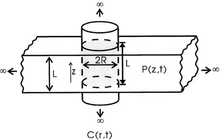Figure 16. Solution tridimensionnelle S(r,t) de I'equation de diffusion pour un cylindre de longueur L et de rayon R.