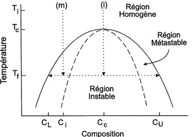 Figure 1. Courbe de coexistence (ligne pleine) et courbe spinodale (ligne pointillee) d'un systeme tel un fluide binaire