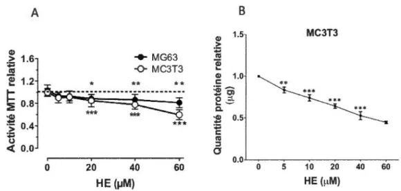 Figure 2.5  : Effet de l'hémine (HE) sur la  viabilité des  cellules  ostéoblastiques MG63  et  MC3T3  (in  vitro)