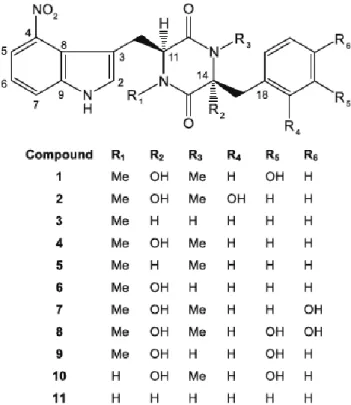 Figure 1.9  Structure  de  la  thaxtomine  avec  ses  différents  groupements  (King  et  Calhoun, 2009) 