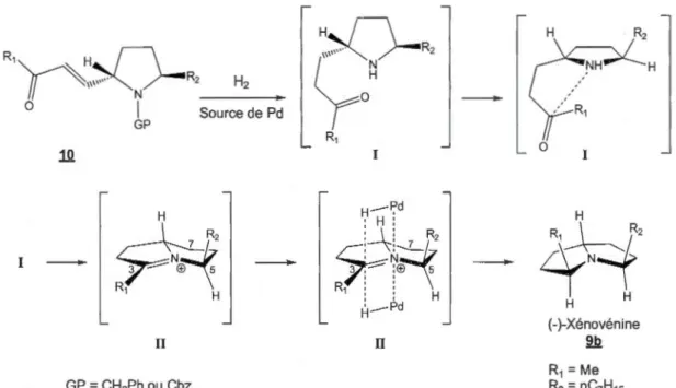 Figure  1.3  Épimère C3  de la  (-)-xénovénine. 