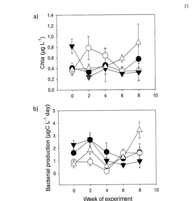 Fig.  1.3  Basal  resources  in  enclosures  over  the  8  week  duration  of the  experiment  (mean  ±  SE)  of (a)  total  chlorophyll  a concentration  (Chia,  jlg· L" 1 )  and  (b)  bacterial  production (!lg C·  L- 1 -day)