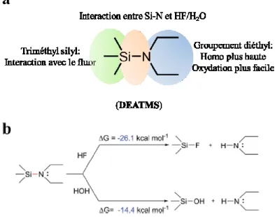 Figure 23 (a) Fonctionnalités des groupements de la molécule DEATMS. (b) Interactions  de DEATMS avec HF et H 2 O et les énergies de Gibbs totales pour chaque réaction