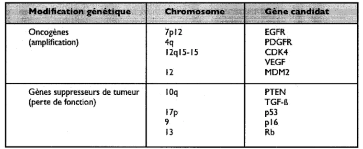 Tableau 1 : Alteration genetique des gliomes malins (Adaptation de Wechsler, 2001) 