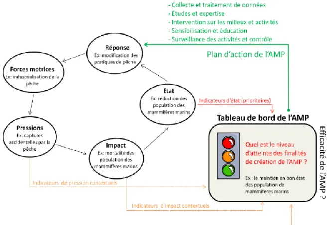 Figure 2.3 : Illustration du modèle DPSIR intégré au tableau de bord d'une AMP (tiré de : AAMP,  2015b, p