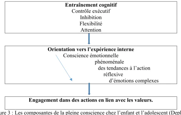 Figure 3 : Les composantes de la pleine conscience chez l’enfant et l’adolescent (Deplus  et al., 2014)