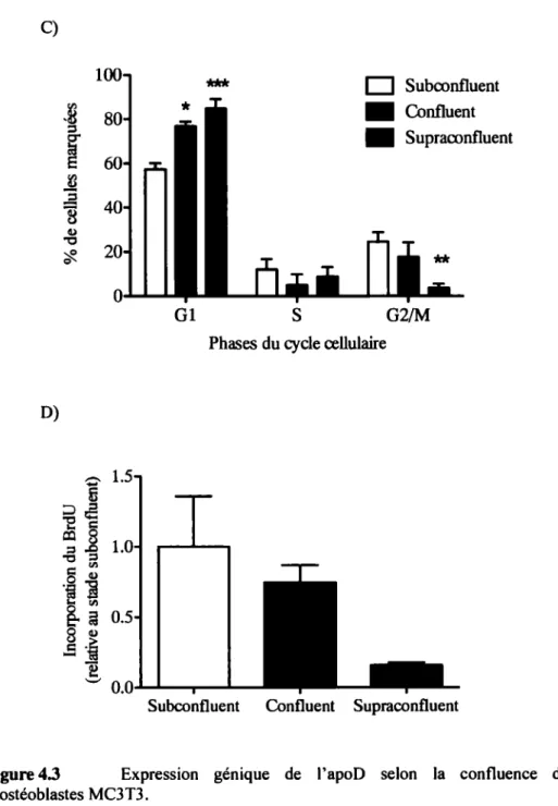 Figure  4.3  Expression  génique  de  l'apoD  selon  la  confluence  des  cultures  d'ostéoblastes MC3T3