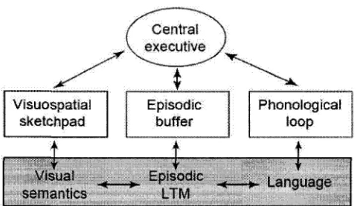 Figure 2 - Multicomponent Model of Working Memory 