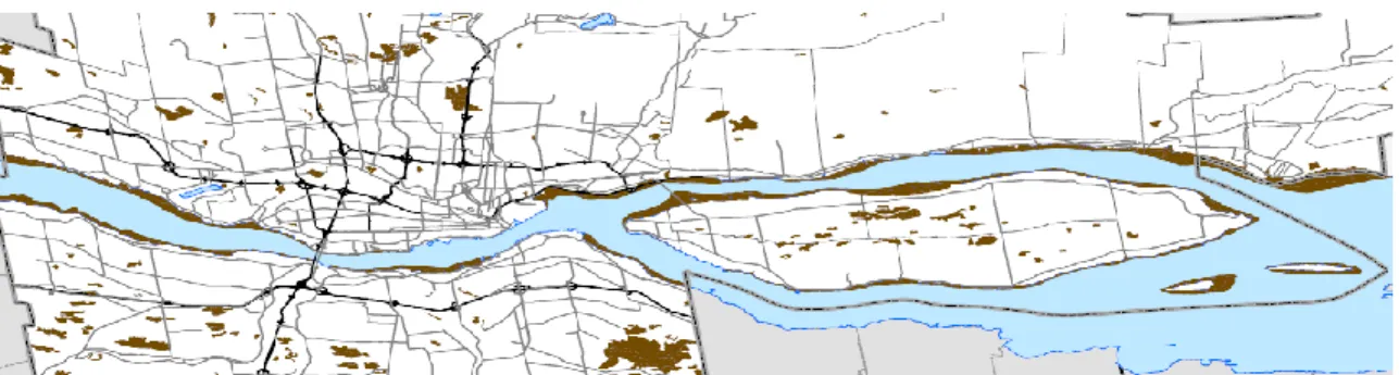 Figure 1.1 Portion du fleuve Saint-Laurent bordant la région métropolitaine de Québec (tiré  de : Communauté métropolitaine de Québec (CMQ), 2010, p